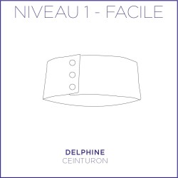 PDF Delphine